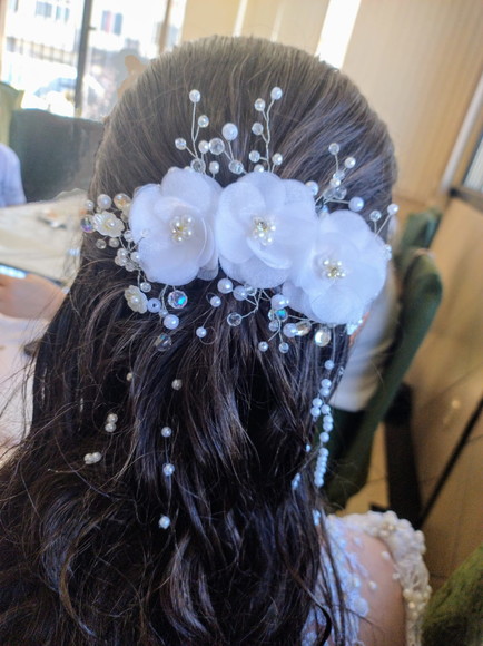 Arranjo de Cabelo Daminha