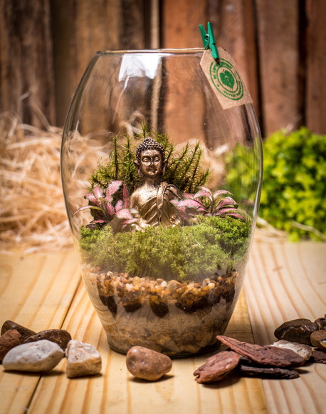 Terrário Buda Tampa de Rolha P1
