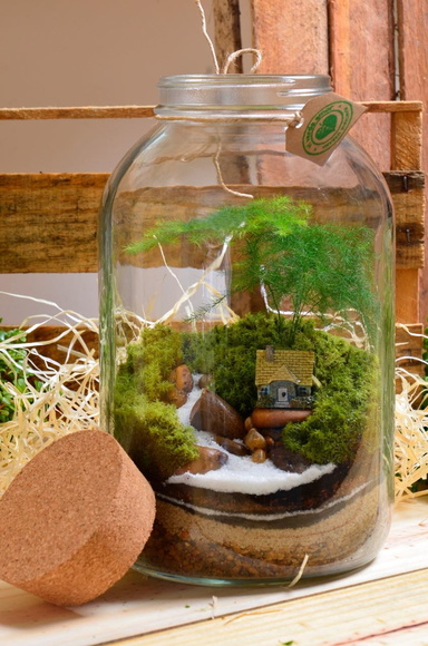 Terrário Grande Casinha P130
