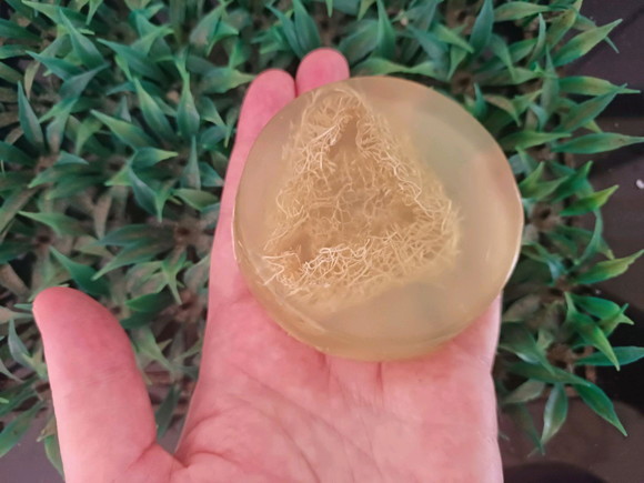 Sabonete Esfoliante com Bucha Vegetal