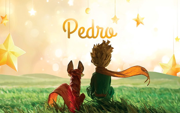 Painel Festa Tema o Pequeno Príncipe