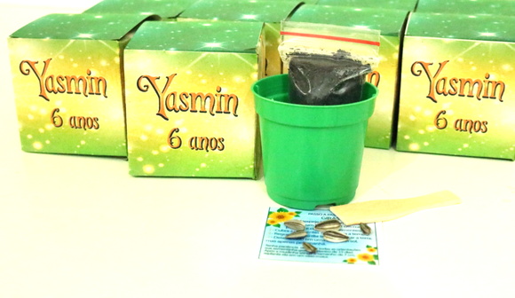 Lembrancinha para Aniversário Eco Cubo - Sininho Disney