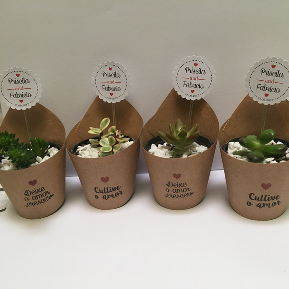 Lembrancinha de Casamento Suculentas e Cactos
