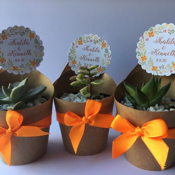 Lembrancinha de Casamento Suculentas Eco- Uber/retirada