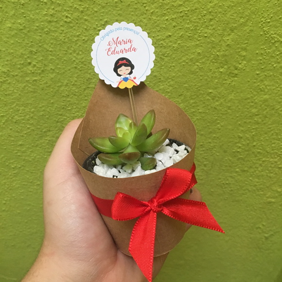 Lembrancinha Princesas Suculentas
