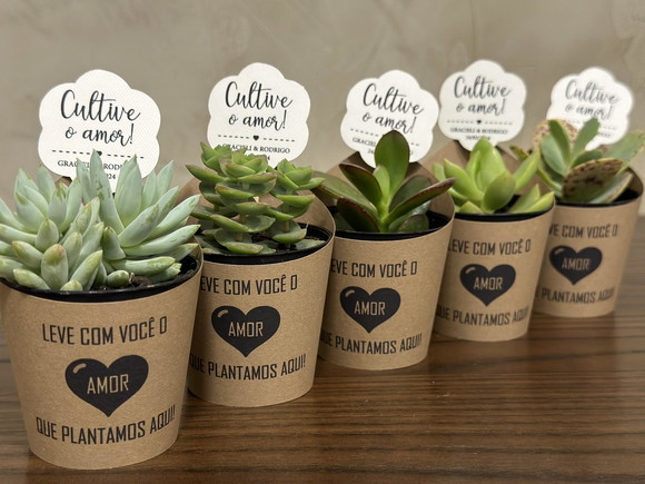 100 Rótulos + Tag Mini Suculentas Lembrancinhas de Casamento
