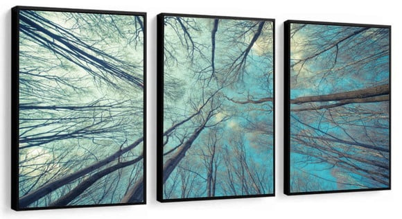 Kit 3 Quadros Decorativos Galhos Para Sala Paisagem Moldura