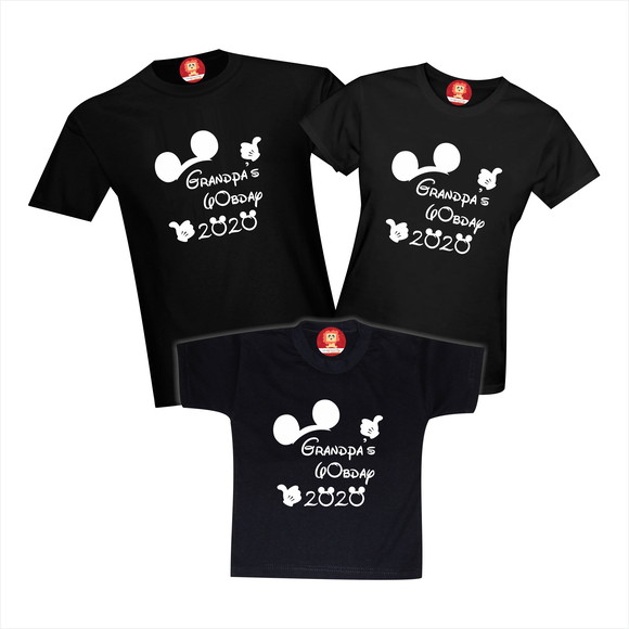 Camisetas Viagem Disney Aniversário Família