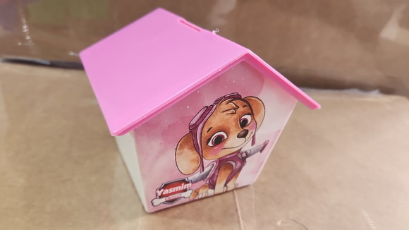 Casinha - Patrulha Canina