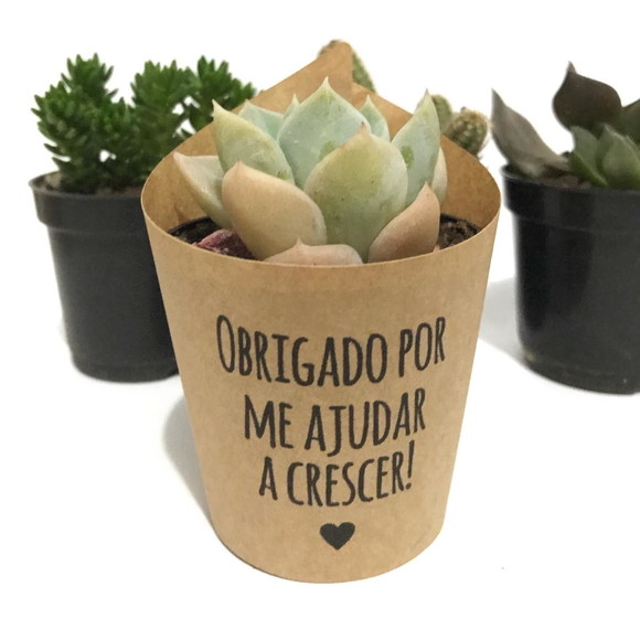 Mini Suculenta com Rótulo Personalizado