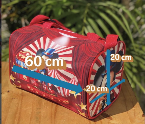 20 Malas Viagem Mochigo