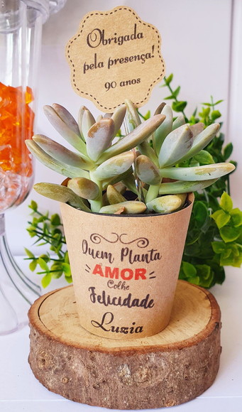 Kit Rótulo para Suculenta + Tag Personalizada - 25unidades