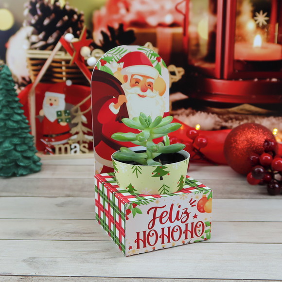 Porta Suculenta Natal - Lembrancinha Viva