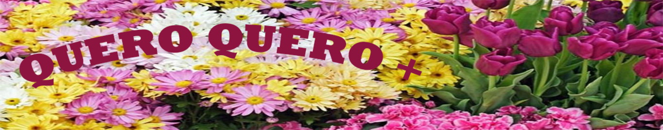 Quero Quero+