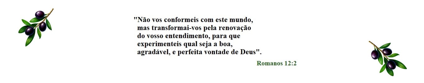 STÚDIO V PERSONALIZADOS